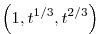 \left( 1, t^{1 / 3}, t^{2 / 3} \right)