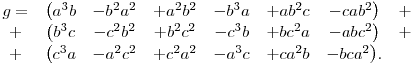 
\matrix{
 g = &\big(a^3b &- b^2a^2 &+ a^2b^2 &- b^3a &+ ab^2c &- cab^2\big) &+ \cr
   + &\big(b^3c &- c^2b^2 &+ b^2c^2 &- c^3b &+ bc^2a &- abc^2\big) &+ \cr
   + &\big(c^3a &- a^2c^2 &+ c^2a^2 &- a^3c &+ ca^2b &- bca^2\big).&  
}
