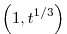 \left( 1, t^{1 / 3} \right)