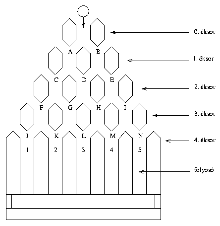 Galton deszka sematikus rajza