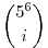 \binom{5^6}{i}