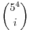 \binom{5^4}{i}