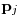 \mathbf{p}_{j}